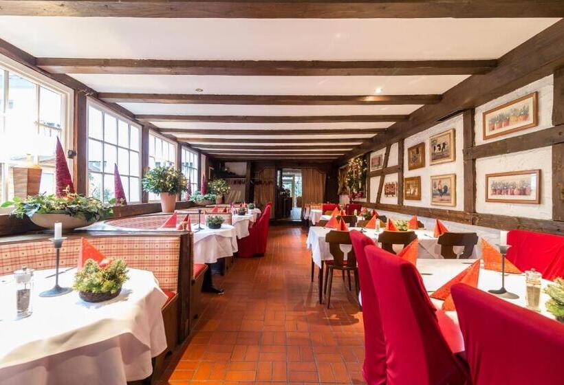 Thermen Hotel & Restaurant Bad Soden