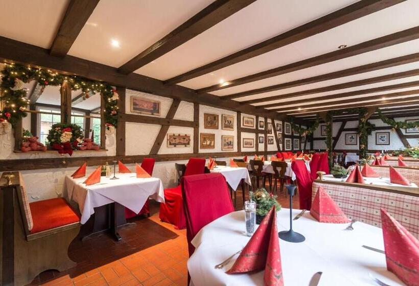 Thermen Hotel & Restaurant Bad Soden