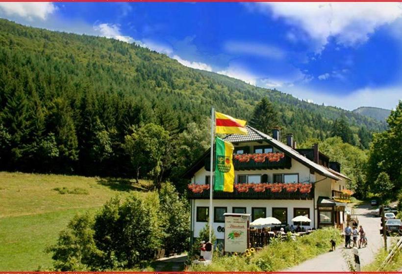 호텔 Waldgasthof Altersbach