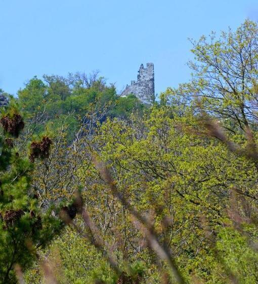 Отель Weinhaus Hoff