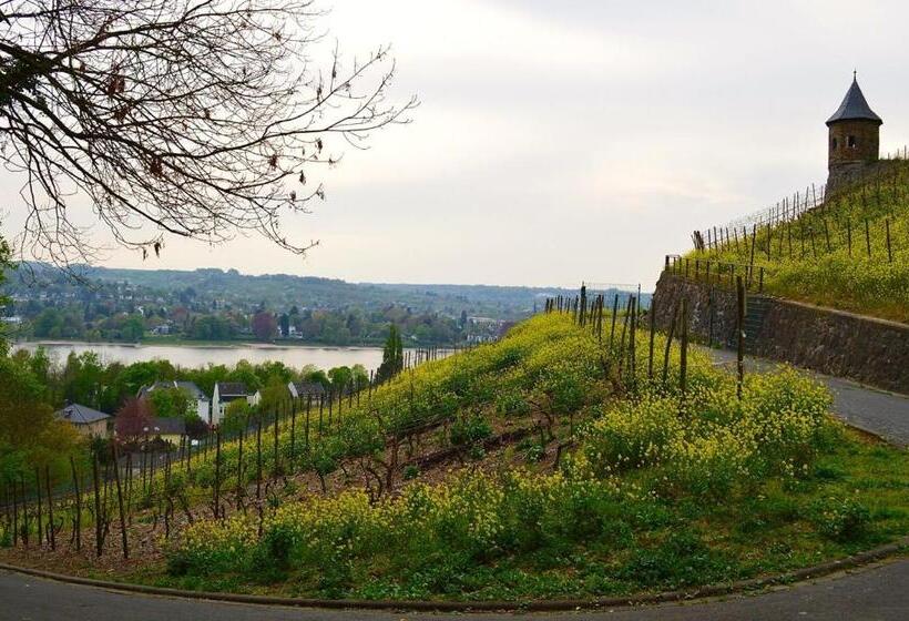 Отель Weinhaus Hoff