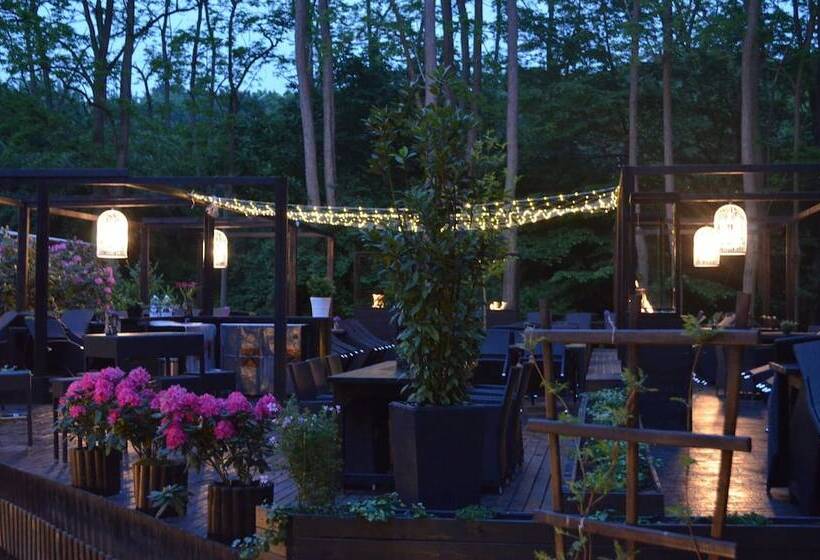 Отель Wolfschlucht