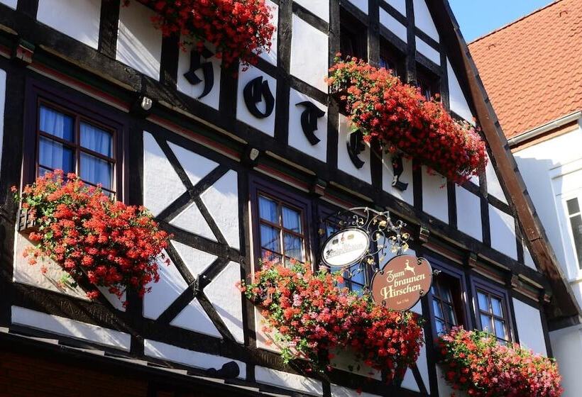 호텔 Zum Braunen Hirschen