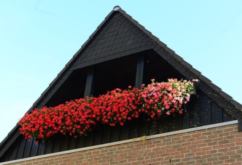 호텔 Zum Braunen Hirschen