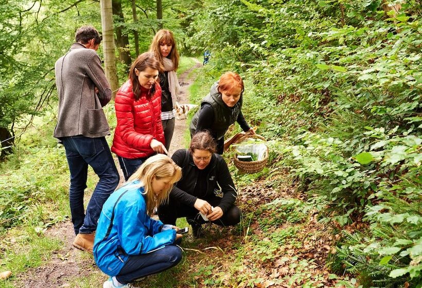 Naturkost Hotel Harz