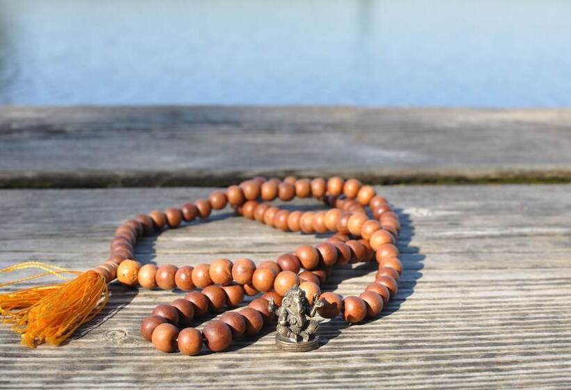 Naturkost Hotel Harz