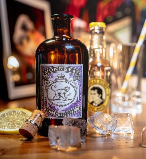 Ott S Hotel Weinwirtschaft & Biergarten Weil Am Rhein/basel