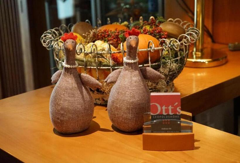 Ott S Hotel Weinwirtschaft & Biergarten Weil Am Rhein/basel