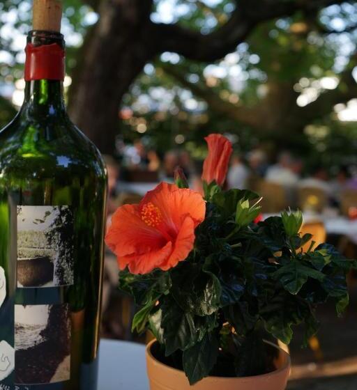 Ott S Hotel Weinwirtschaft & Biergarten Weil Am Rhein/basel