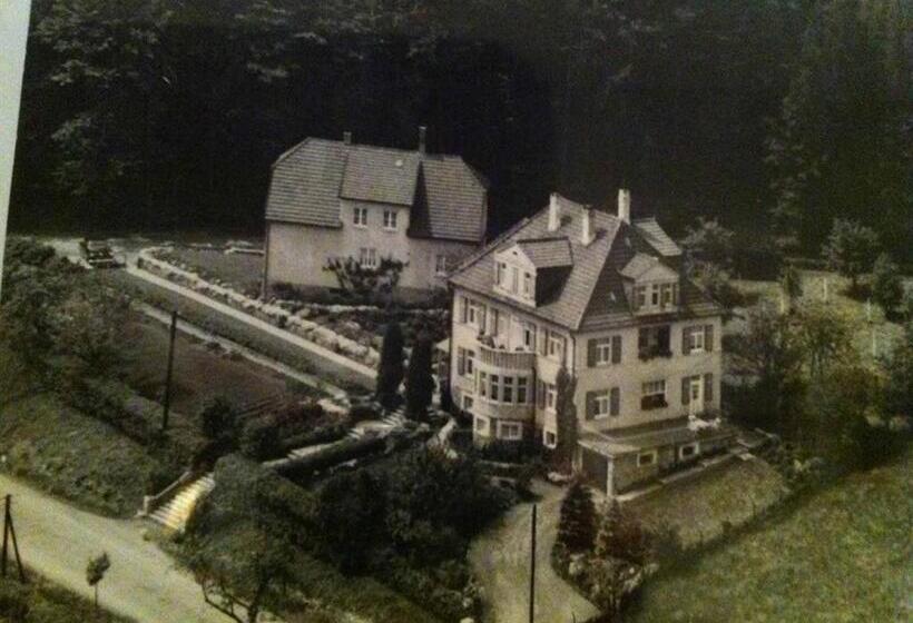 بنسيون Böhler's Landgasthaus