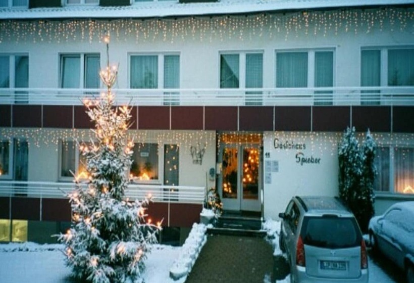 بنسيون Gastehaus Spieker