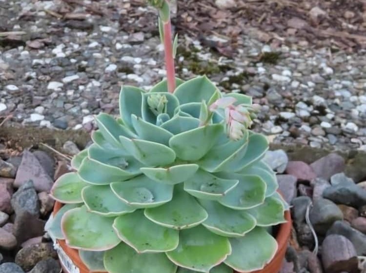 بنسيون Gastehaus Spieker