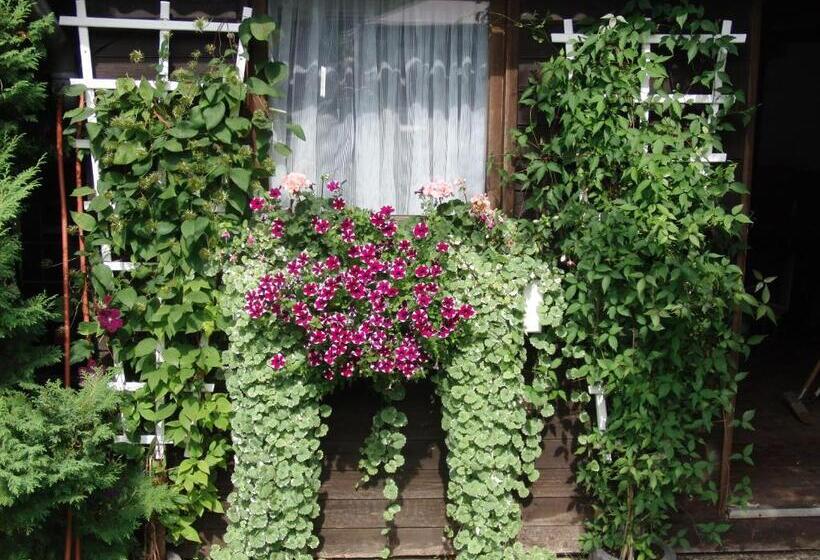 بنسيون Gastehaus Spieker