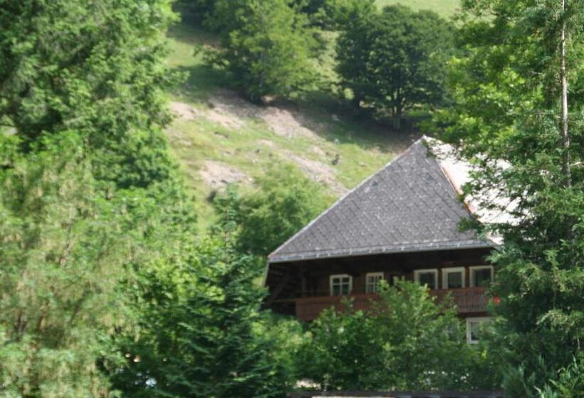 膳宿费 Gasthaus Hirschen