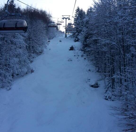 פנסיון Gasthaus Hirschen