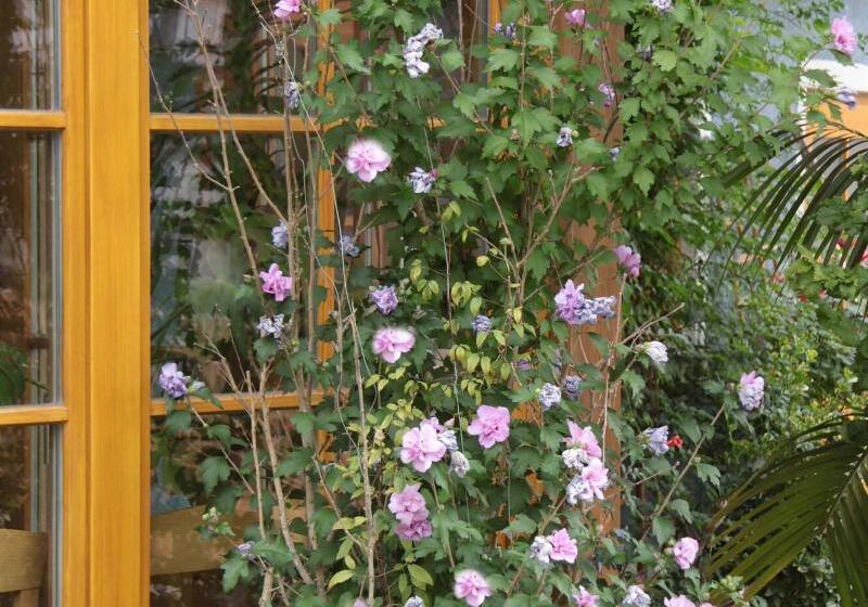 膳宿费 Gasthaus Sindelbuckel