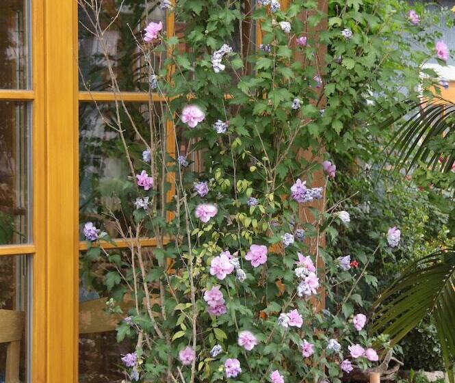 膳宿费 Gasthaus Sindelbuckel