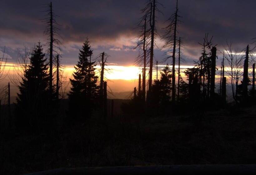 膳宿费 Gasthaus Zum Kellermann