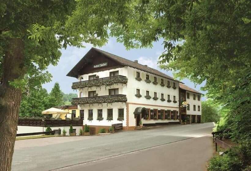 ペンション Günstige Zimmer Im Spessart