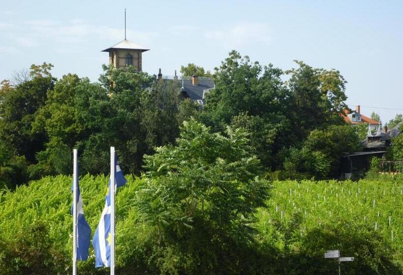 ペンション Gästehaus Deidesheim