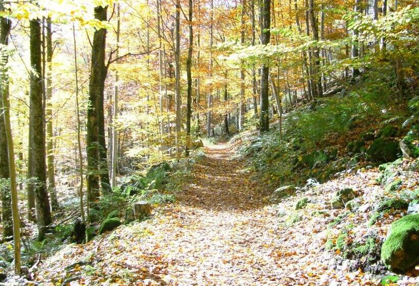 بنسيون Landgasthaus Kurz Hotel & Restaurant Am Feldberg   Schwarzwald