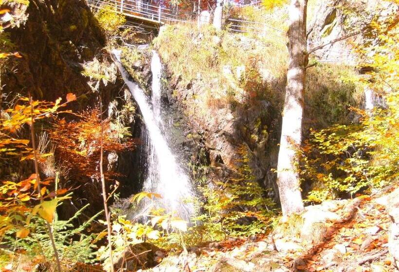 بنسيون Landgasthaus Kurz Hotel & Restaurant Am Feldberg   Schwarzwald