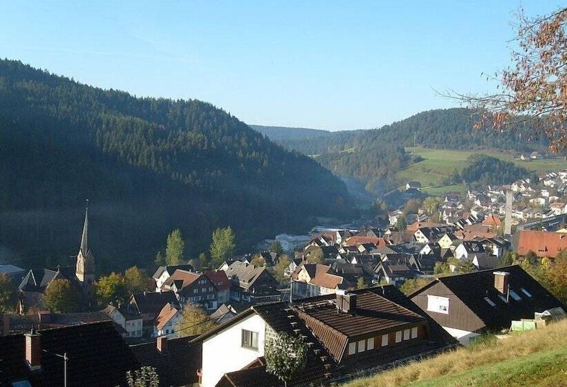 펜션 Schwarzwaldgasthaus Linde