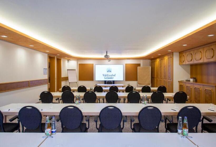 פנסיון Waldgasthof Geländer