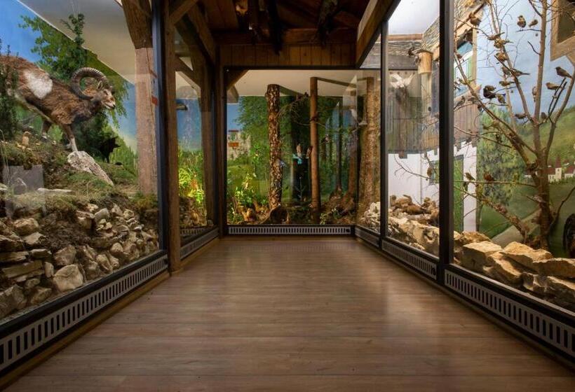 פנסיון Waldgasthof Geländer