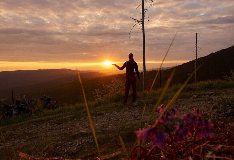 Пансион Wander Und Aktiv Hotel Rösslwirt