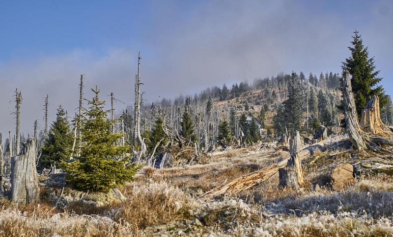 Пансион Wander Und Aktiv Hotel Rösslwirt