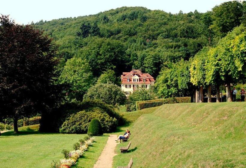 Rhön Hotel Waldcafé St. Georg