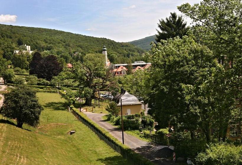 Rhön Hotel Waldcafé St. Georg