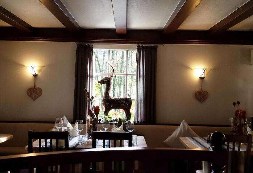 Wegermann`s Bio Landhaus Im Wodantal