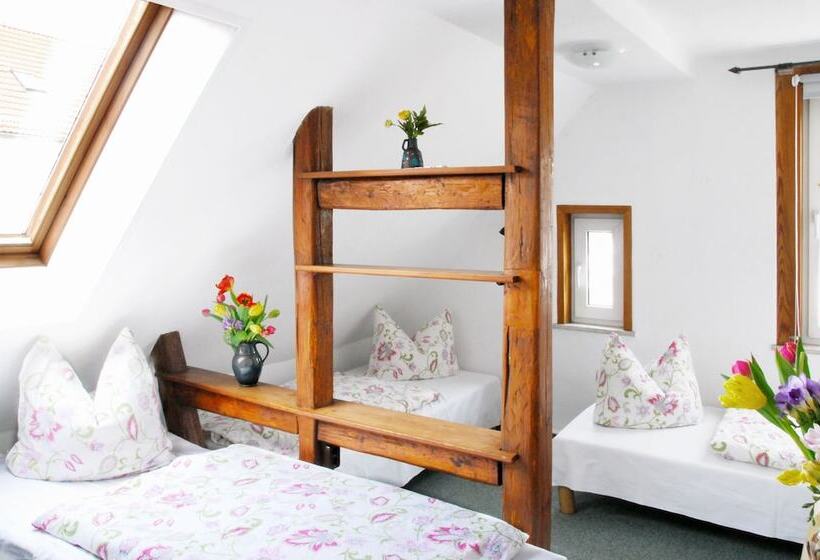 Bed and Breakfast Pension Alter Zausel