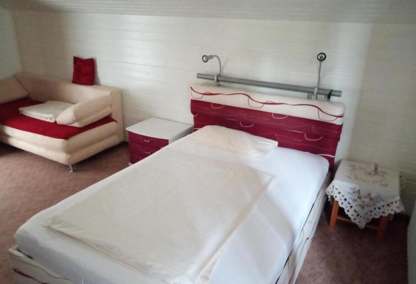 住宿加早餐 Pension Haus Inge