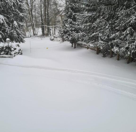 住宿加早餐  Pension Parkblick