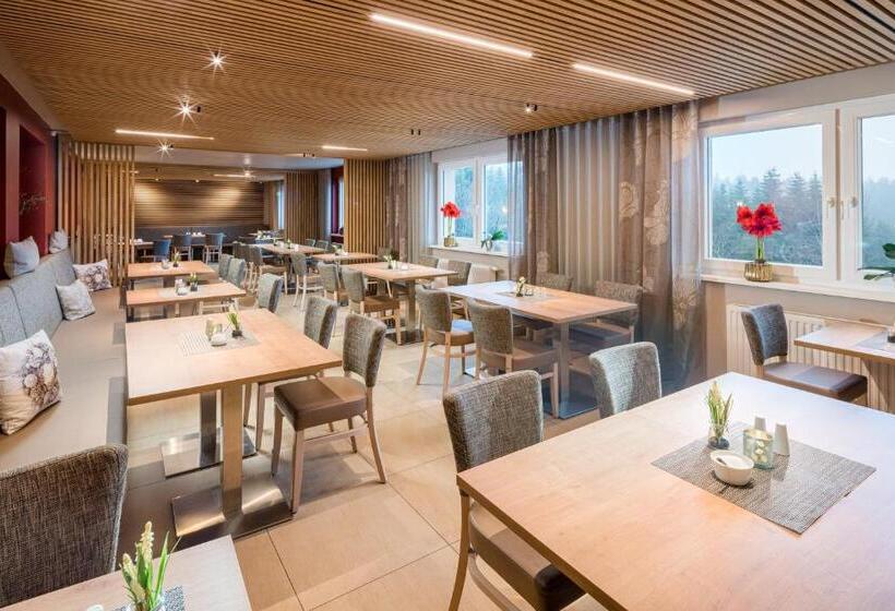 住宿加早餐 & Pension Traumblick