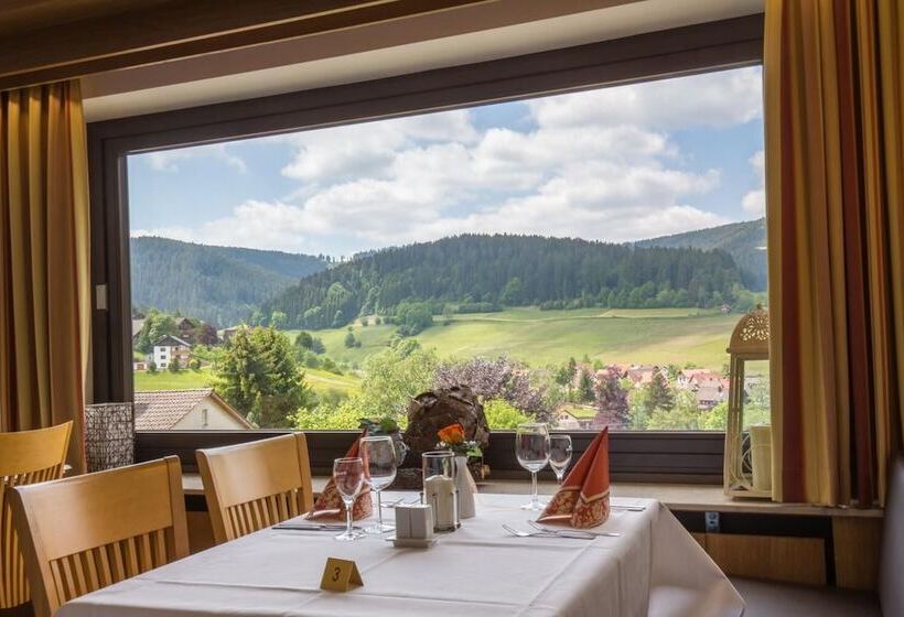 Bsw Schwarzwaldhotel Baiersbronn
