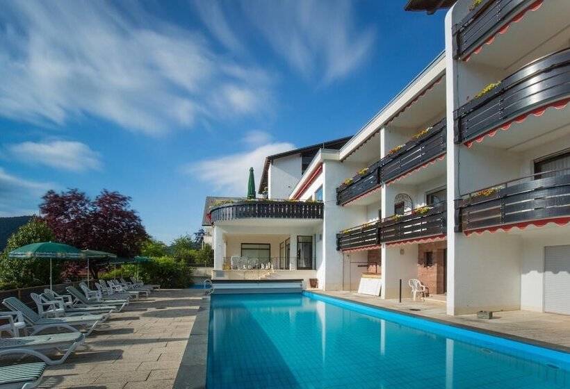 Bsw Schwarzwaldhotel Baiersbronn