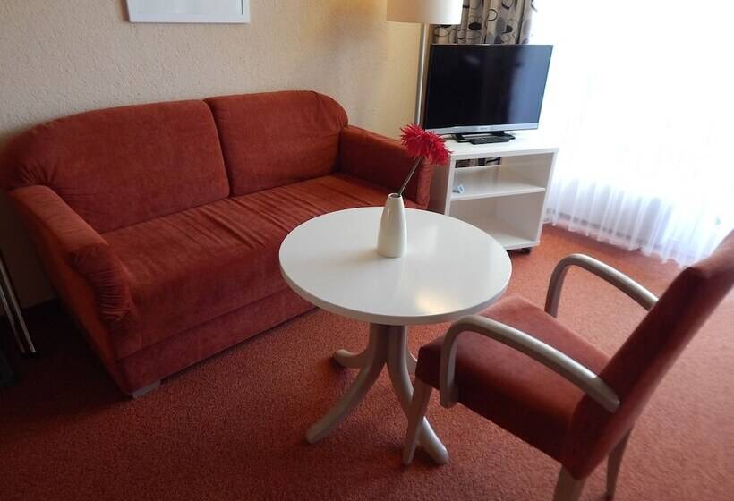 Bsw Schwarzwaldhotel Baiersbronn