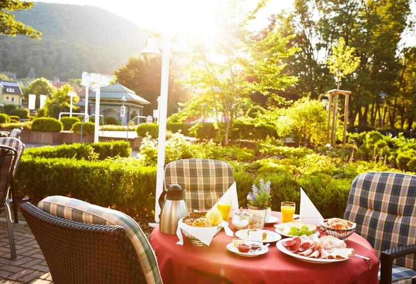 Göbel S Hotel Aquavita