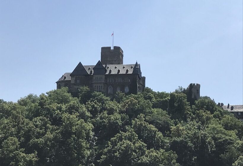 Akzent Hotel Restaurant Roter Ochse Rhens Bei Koblenz