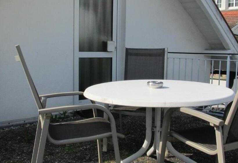 هتل Alleeschlößchen