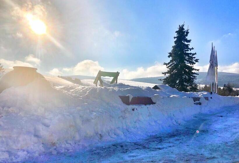 Alpina Lodge Hotel Oberwiesenthal