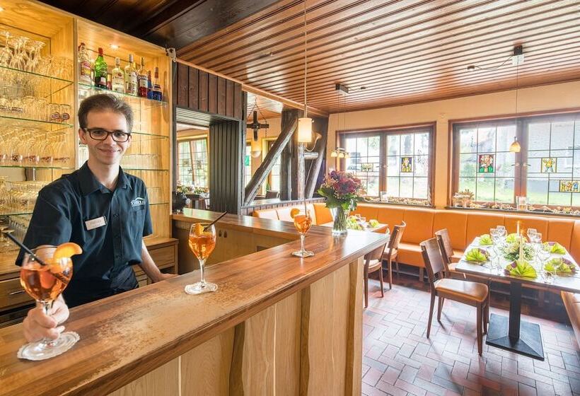 هتل Altes Forsthaus Braunlage