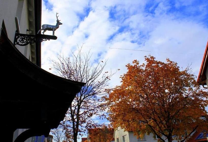 هتل Am Hirschgarten