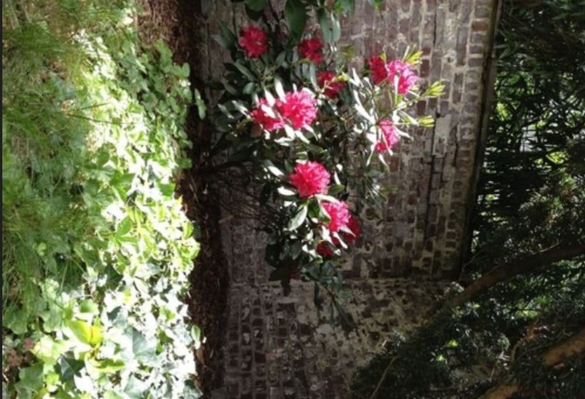 בית מלון כפרי Am Hofgarten