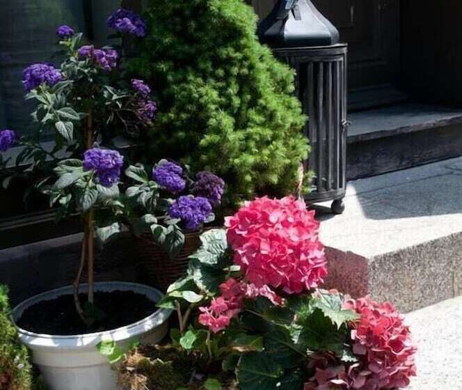 בית מלון כפרי Am Hoken