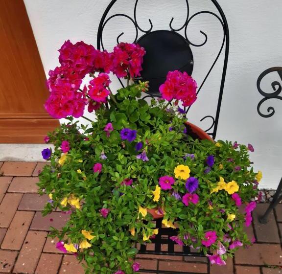 בית מלון כפרי Antonia